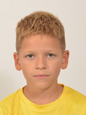 Lovre Živaljić