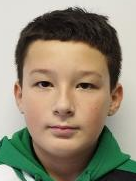 Mihael Lulić Mustafić