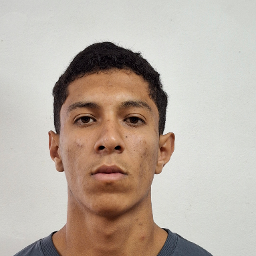 Julio Cesar Santos Viana