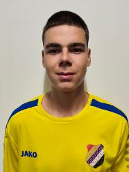 Roko Radan