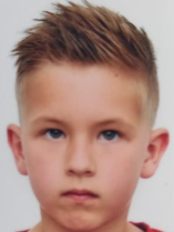 Mihael Hajsig Vlahović