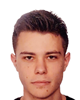 Dominik Novosel