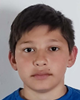 Milan Amić