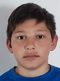 Milan Amić