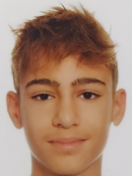 Franko Ružić Rukavina