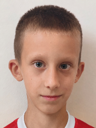 Franjo Markov