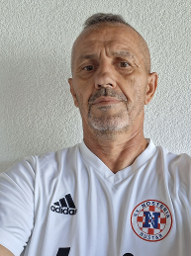 Damir Novak