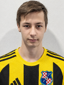Dominik Šalić