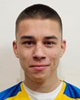 Milan Brizić