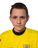 Luka Alfirević