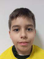 Stribor Vuković Popović