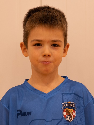 Marko Rubrik Šehić