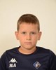 Matija Alić