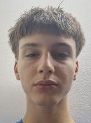Matej Gregorić