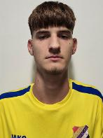 Marko Vesić